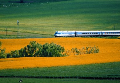 NSW Trainlink XPT NSW Trainlink XPT