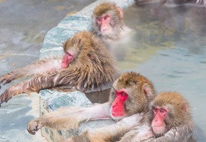 Joanna Lumley's Japan Episode 1