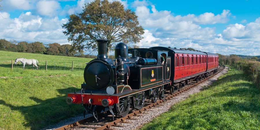 Isle of Wight Steam Railway