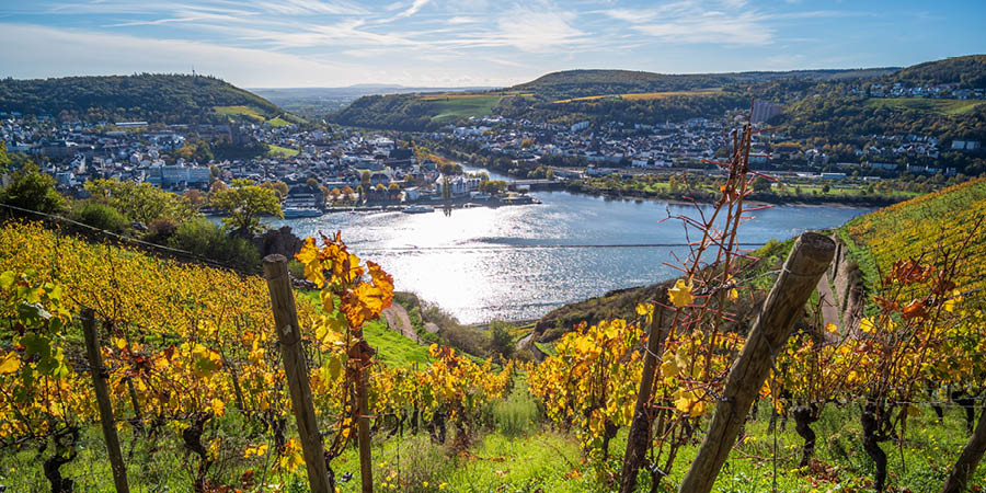 Uncovering Rüdesheim’s highlights
