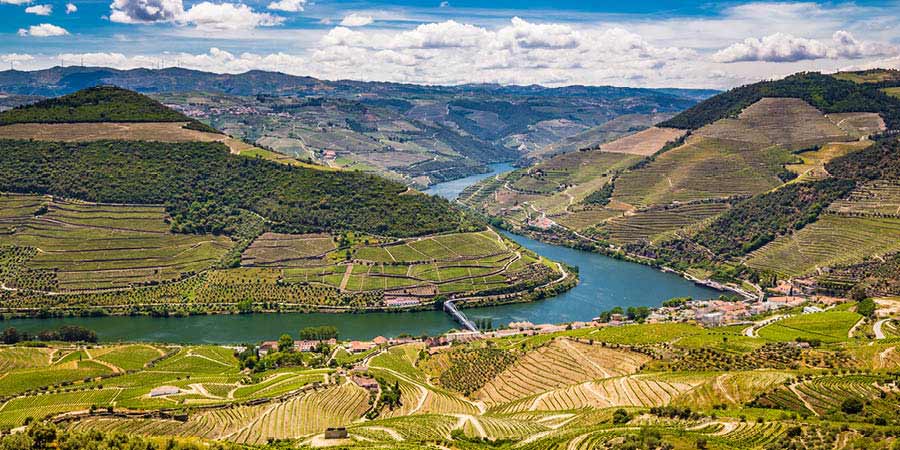 The beautiful Douro Valley. 