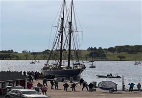 NAOMI PAVITT